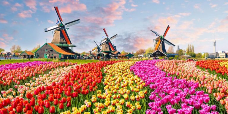 filippis-tours-amsterntam_005-1600x800